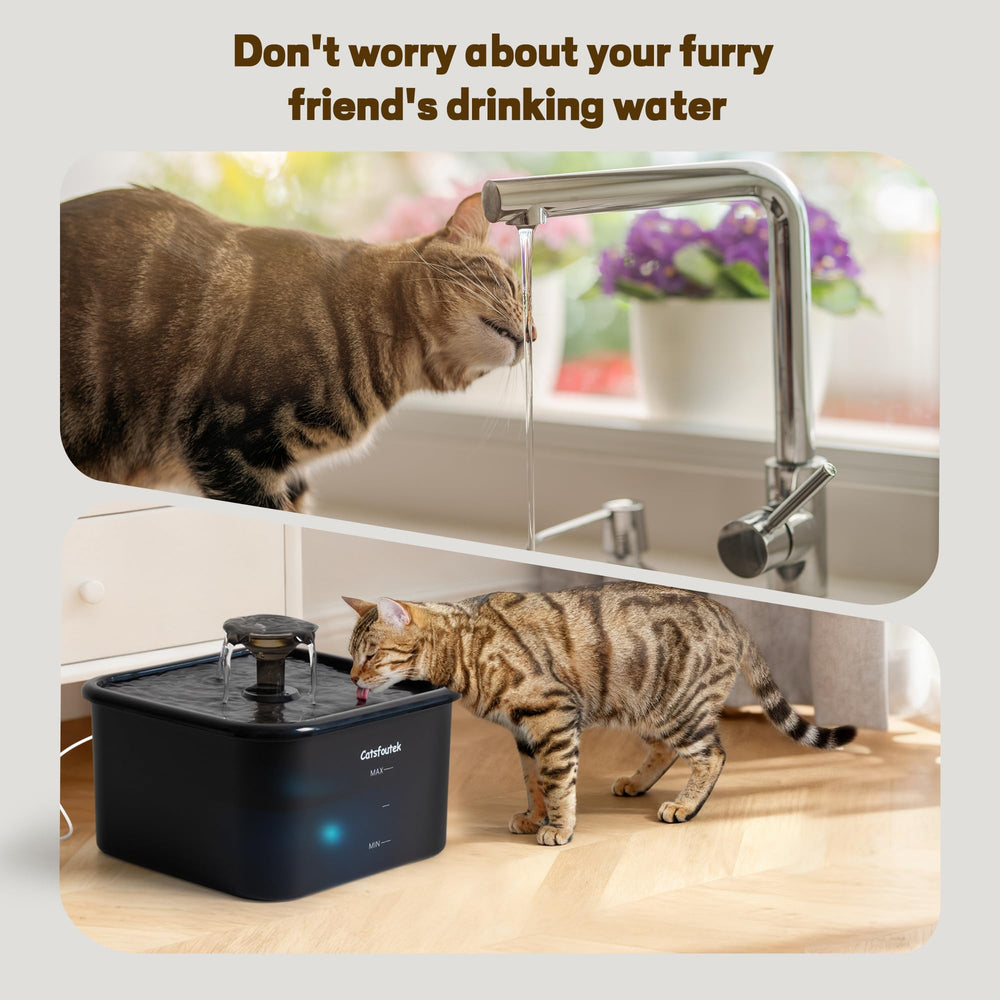 Catsfoutek jet-eau-naturel: imitation d’un jet naturel pour hydratation.