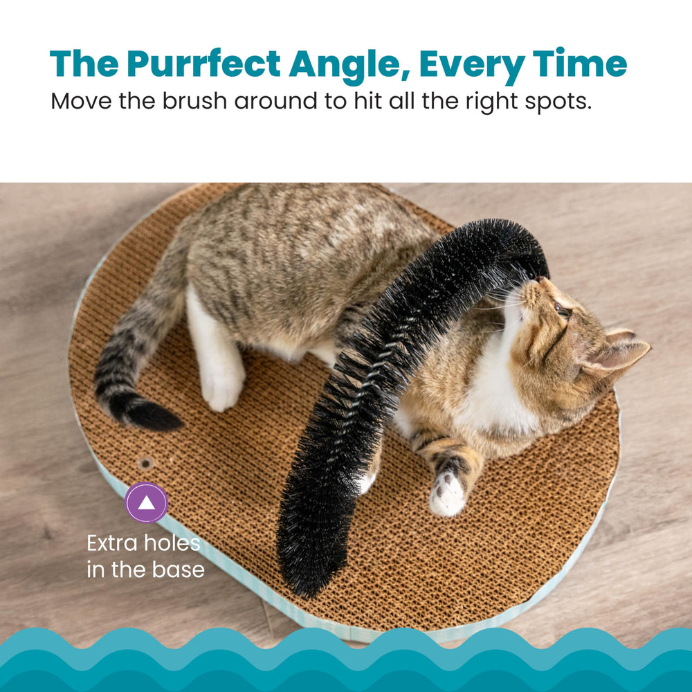 Catstages: angles de soin reglables pour optimiser le brossage et le pelage.