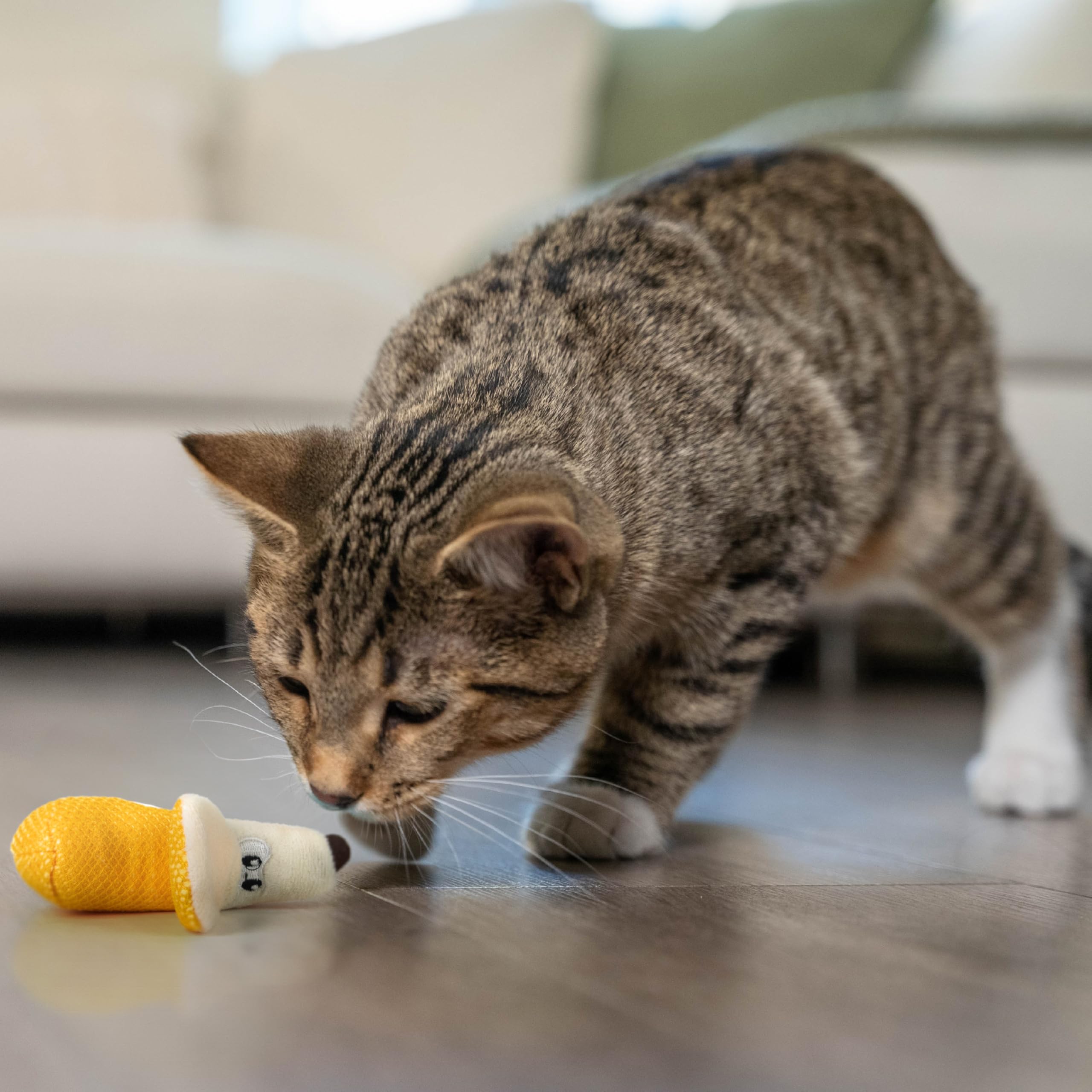 Catstages Banana Dentaire Chat Jouet Dentaire – satisfait les envies de mâchage