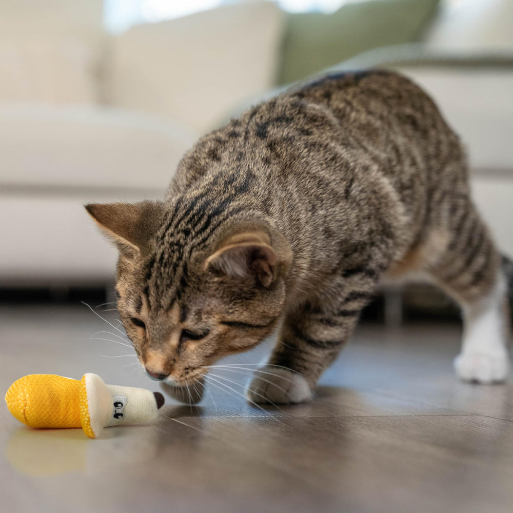 Catstages Banana Dentaire Chat Jouet Dentaire – satisfait les envies de mâchage