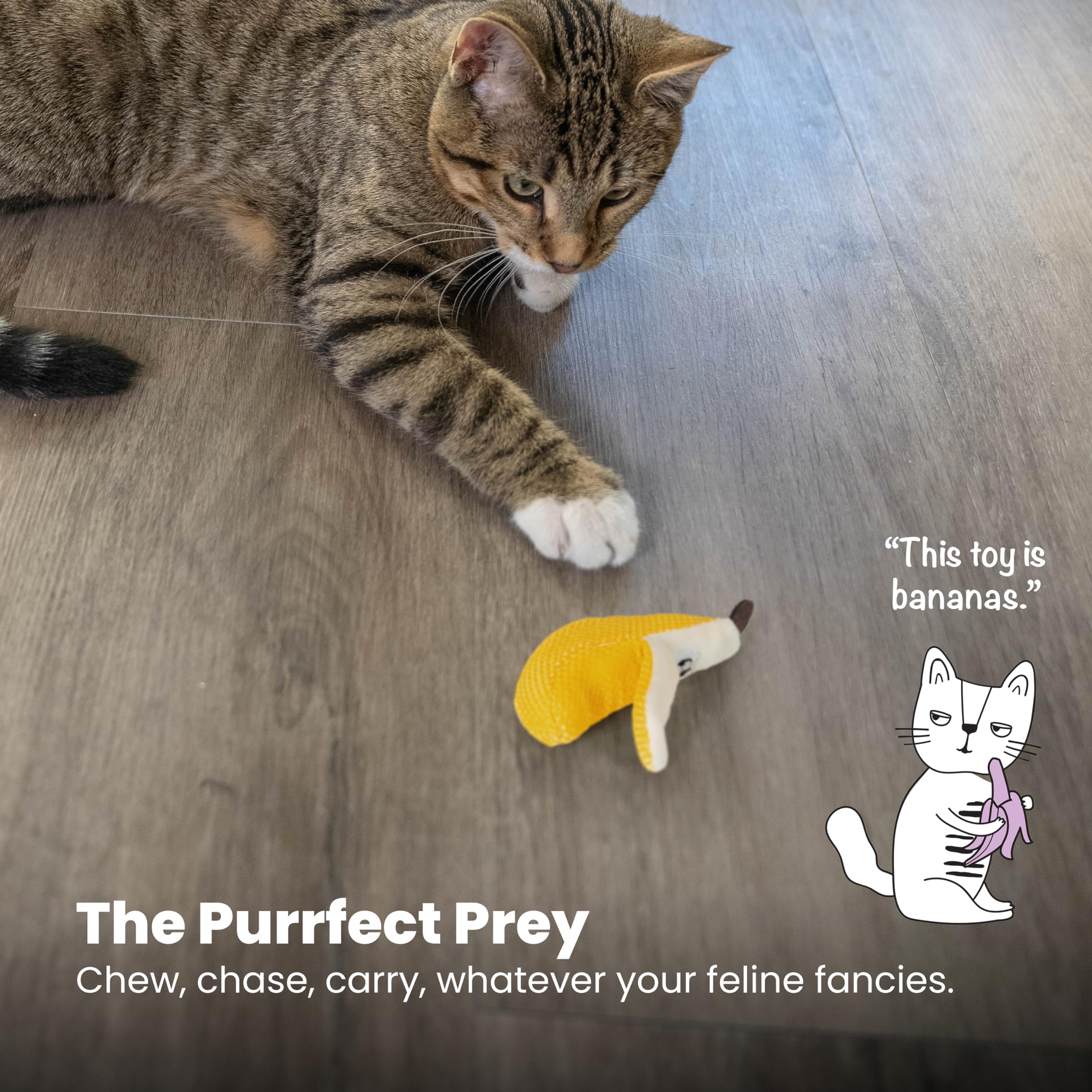 Catstages Banana Dentaire Chat Utilisation Quotidienne – idéal pour le jeu régulier