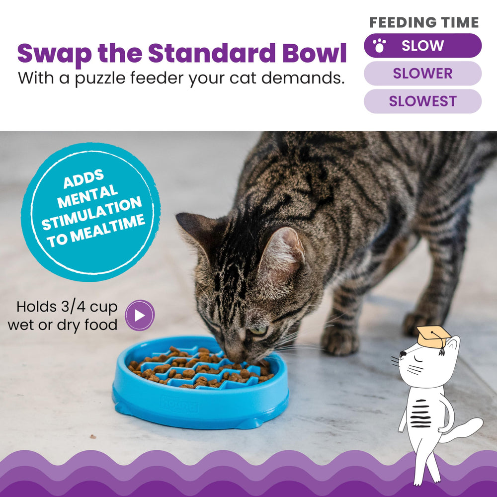 Catstages bol puzzle pour chats et petits chiens, stimule l’attention lors du repas.