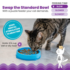 Catstages bol puzzle pour chats et petits chiens, stimule l’attention lors du repas.