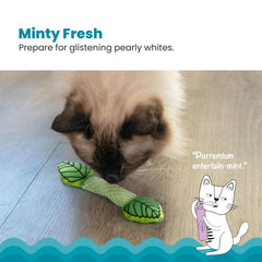 Catstages centre menthe aromatique, stimule l'intérêt et attire les chats.