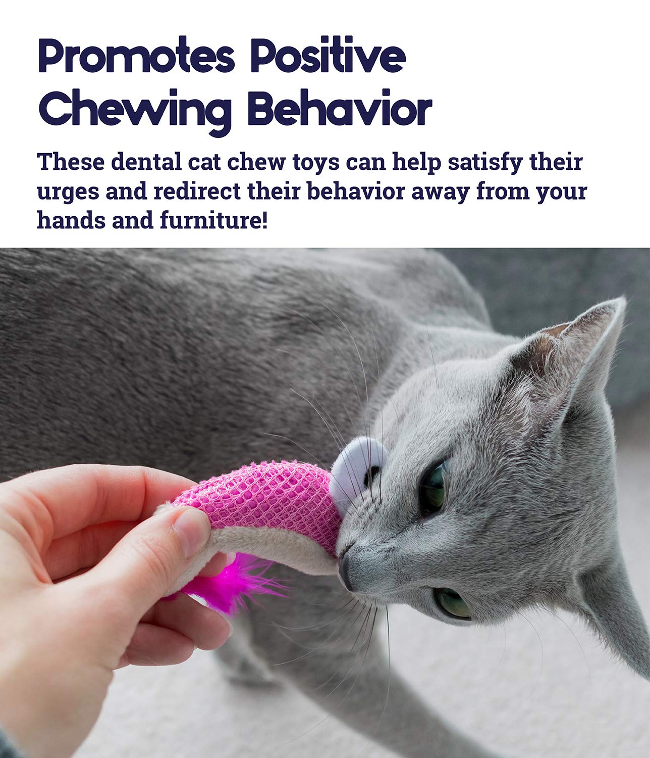 Catstages Dental Shrimpies, son crissant qui capte l'attention du chat lors du jeu.