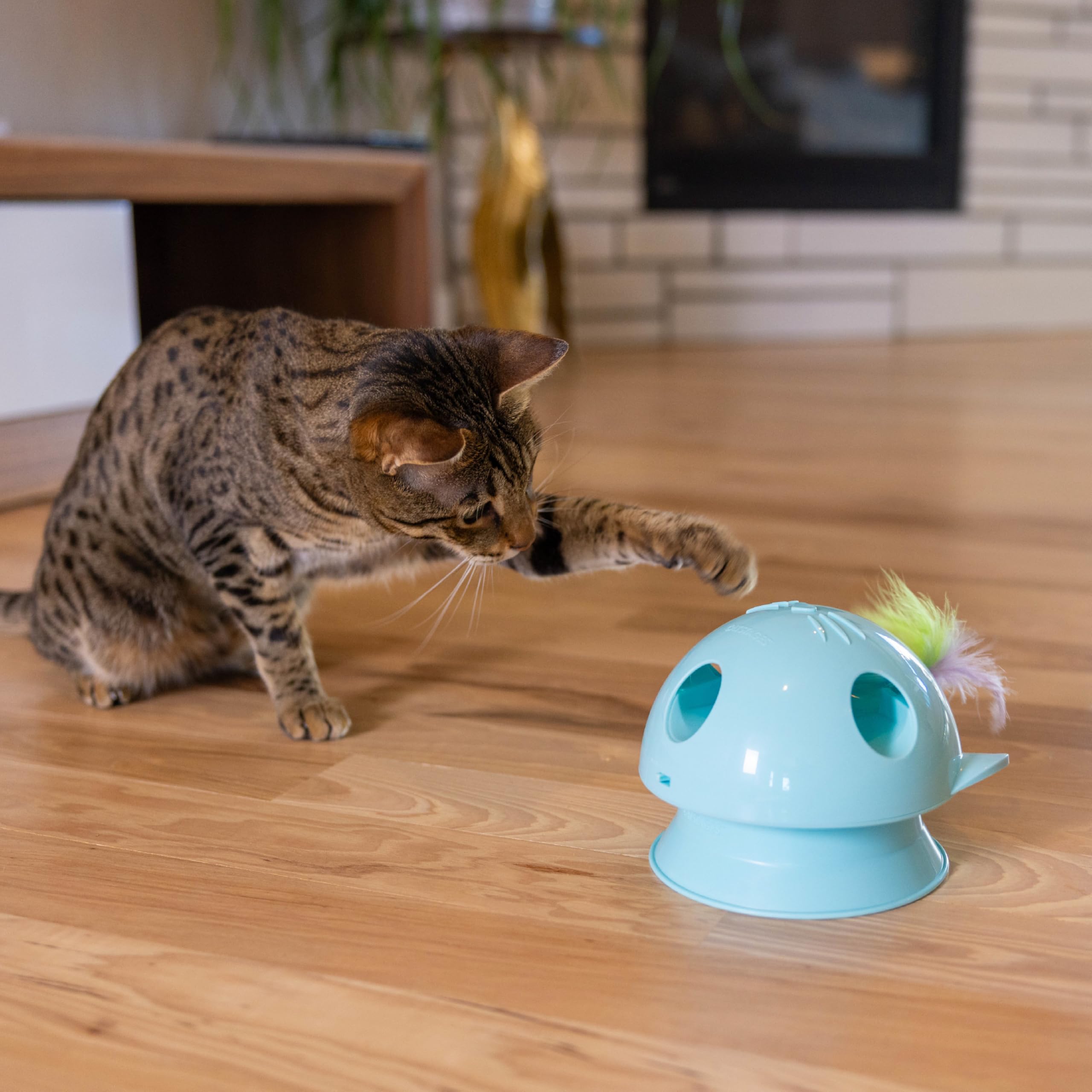 Catstages Dart N’ Dash piles incluses pour démarrer rapidement.