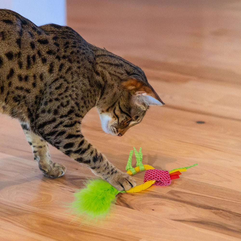 Catstages Enrichissement chasse: stimule l'activité mentale