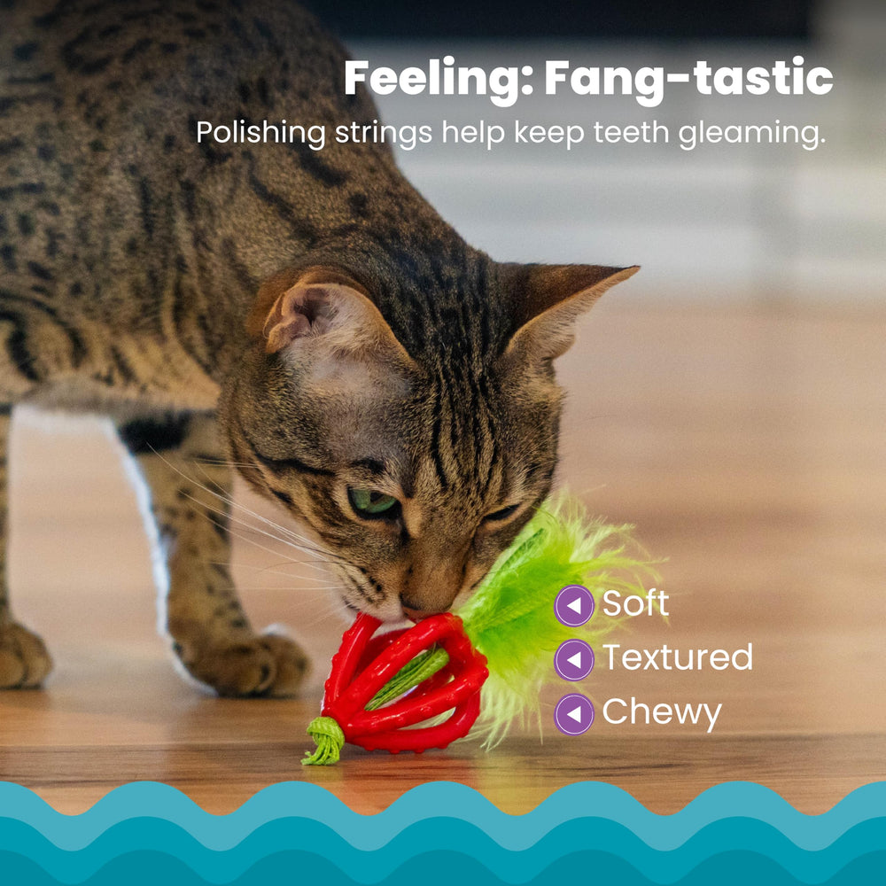 Catstages Enrobage Huile Herbe à Chat – attire le mordillement et prolonge le jeu