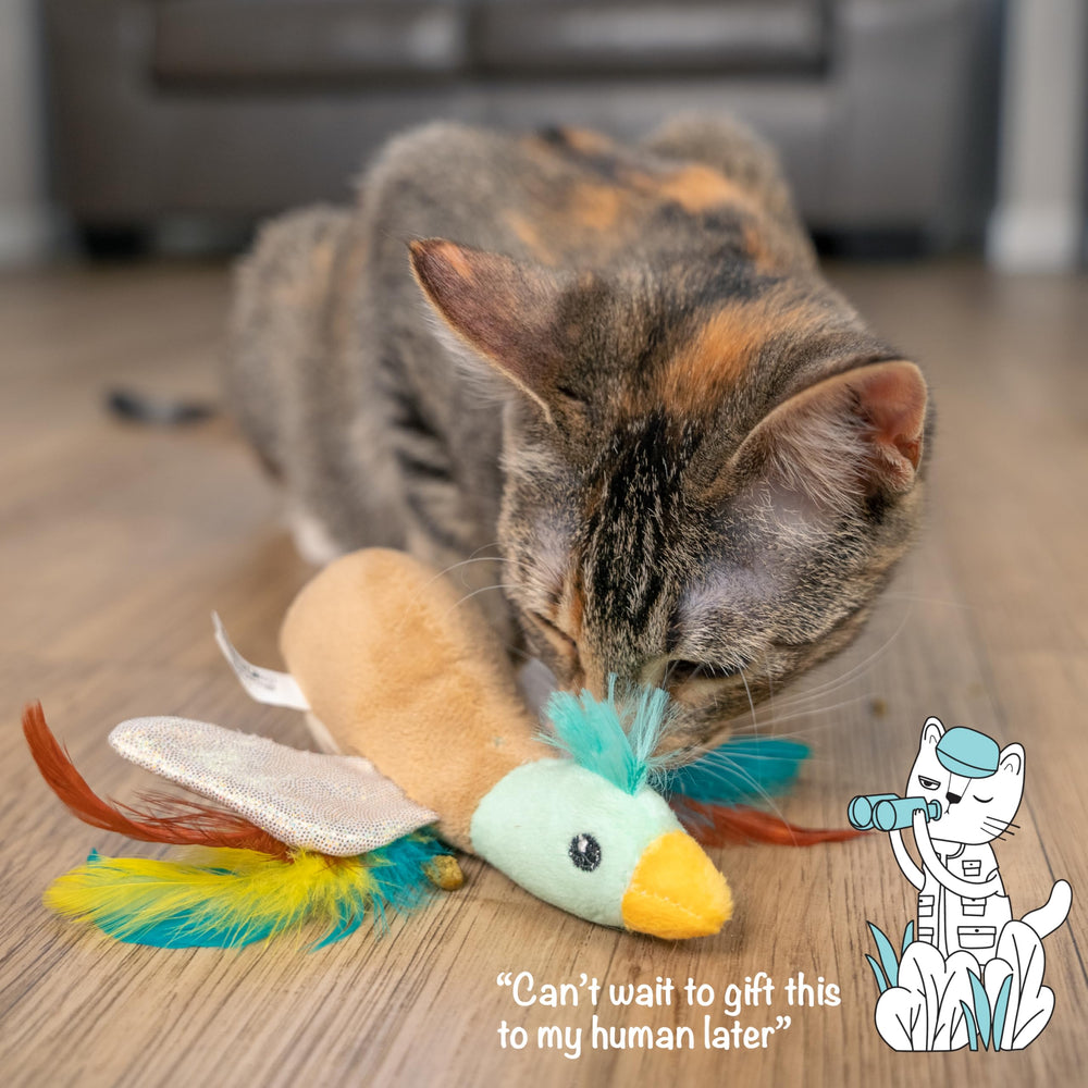 Catstages Flapperz Canard Peluche: sécurité et entretien faciles