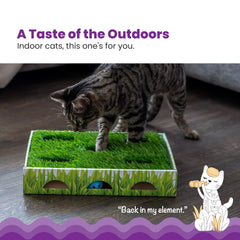Catstages Grass Patch Hunting Box, herbe synthétique, offre un tapis cosy pour les pauses.