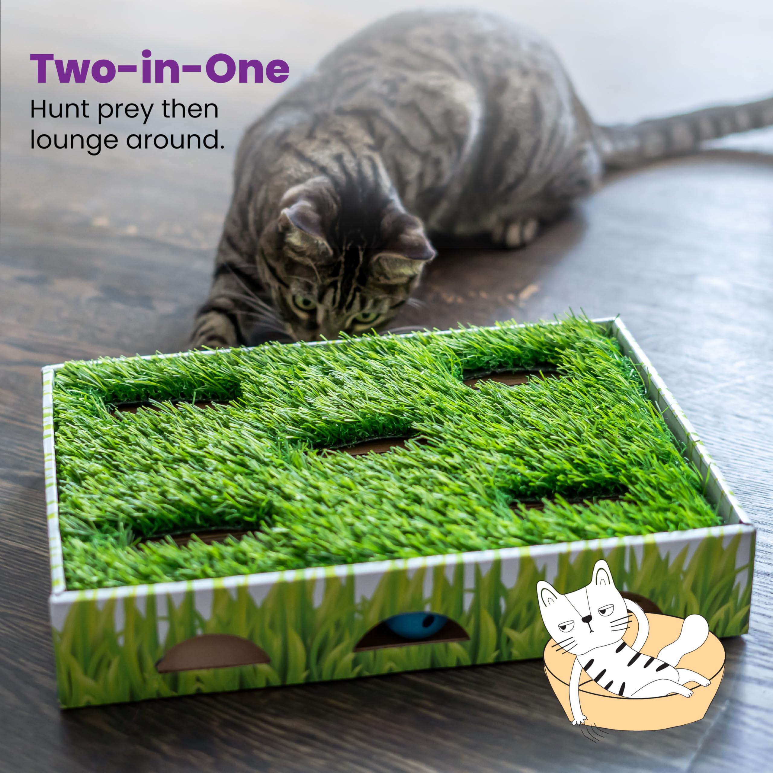 Catstages Grass Patch Hunting Box, interaction de chasse, swat et reconnaissance des balles.