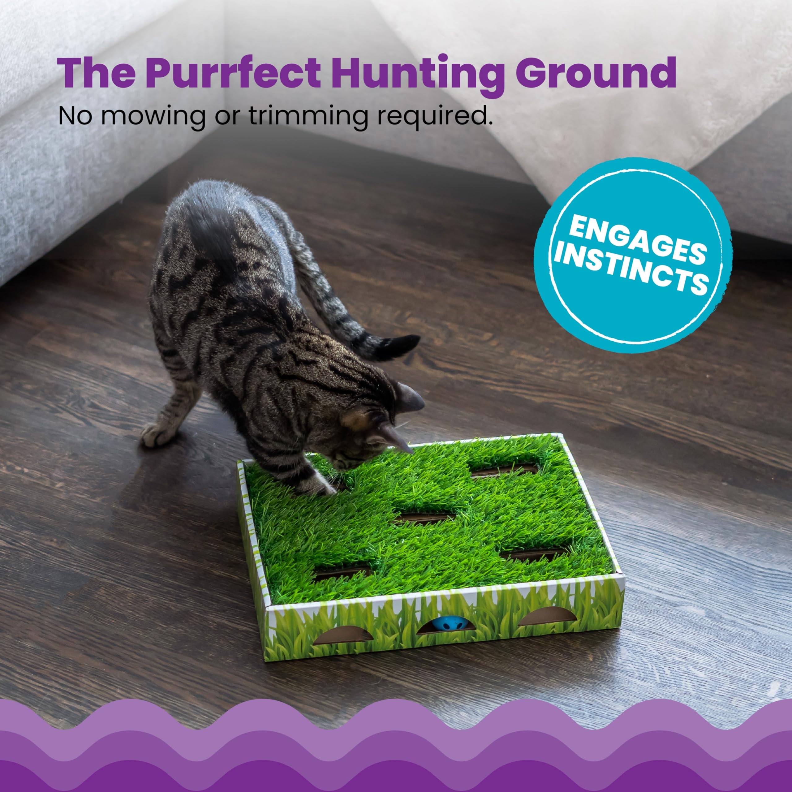 Catstages Grass Patch Hunting Box, ouvertures pour pattes, encouragent les coups de patte et la chasse.