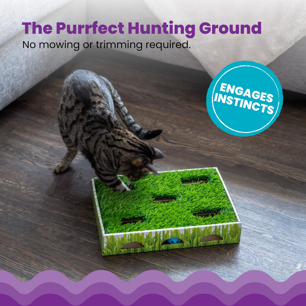Catstages Grass Patch Hunting Box, ouvertures pour pattes, encouragent les coups de patte et la chasse.