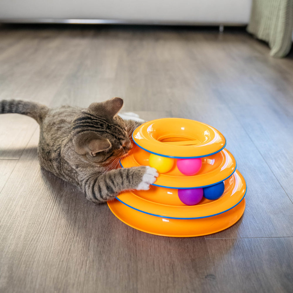 Catstages Idéal pour chat solo ou multi-chats, convient à diverses configurations