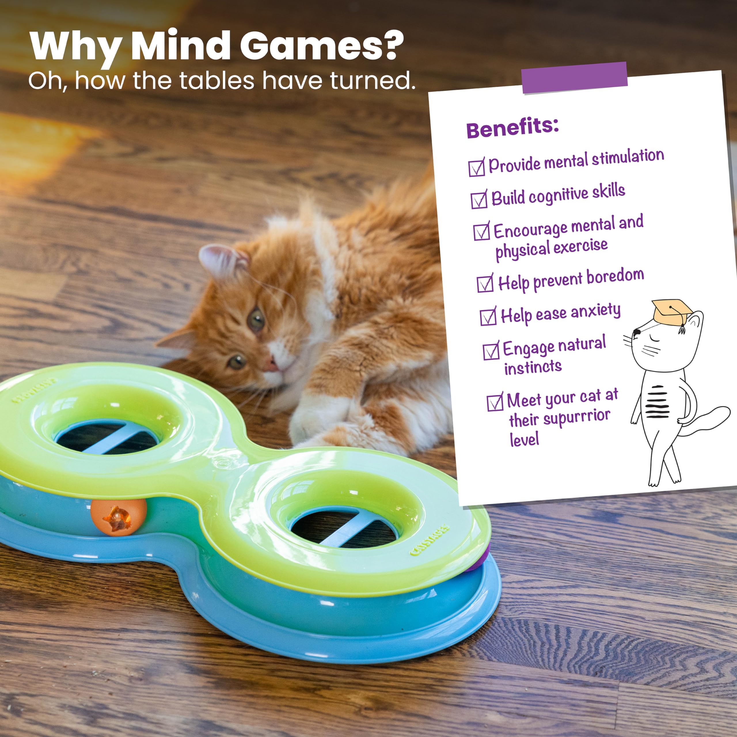 Catstages Infinity Ball Track: idéal pour les chats actifs et les sessions d'exercice stimulant.