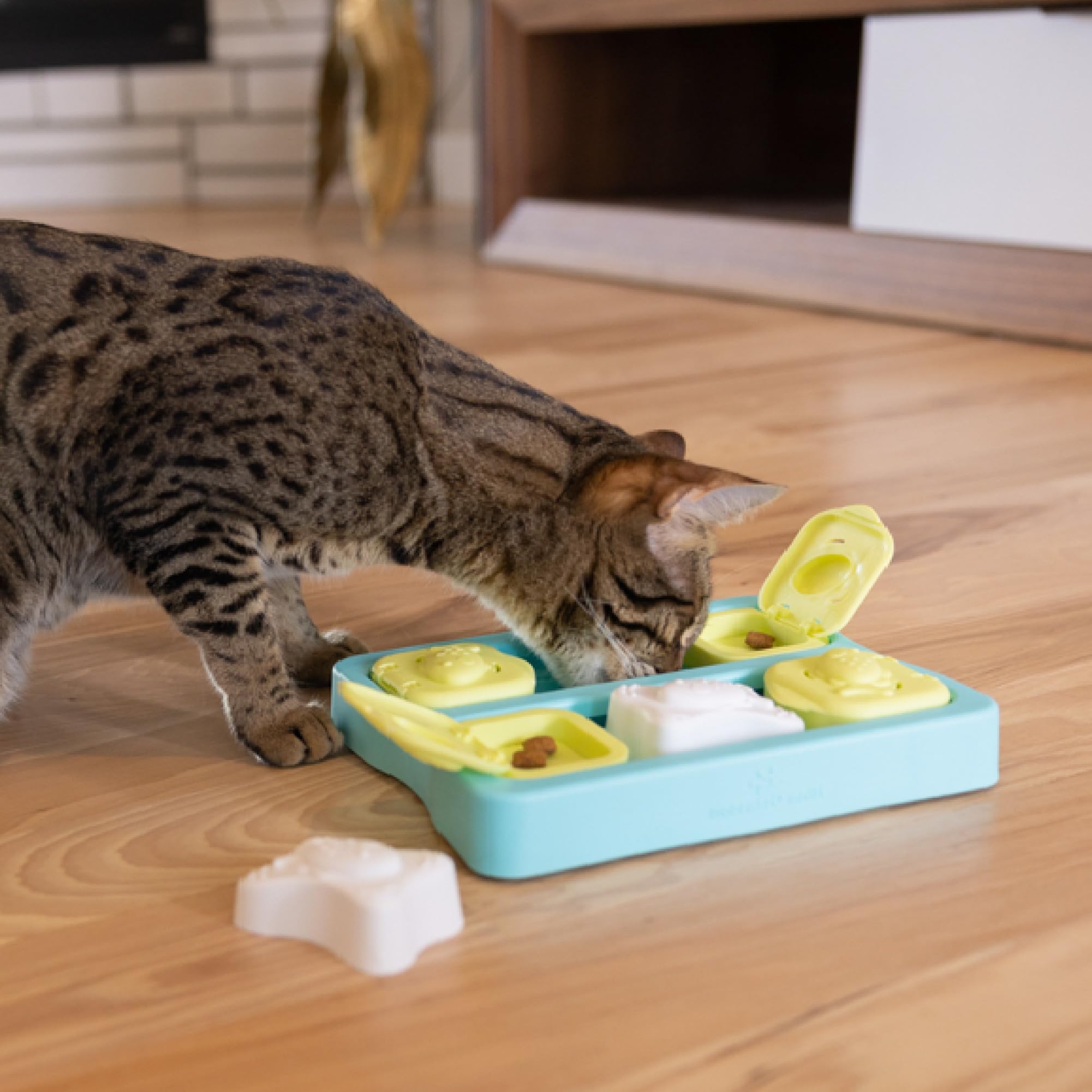 Idéal comme jouet d'enrichissement pour chats et chatons, et même petits chiens.