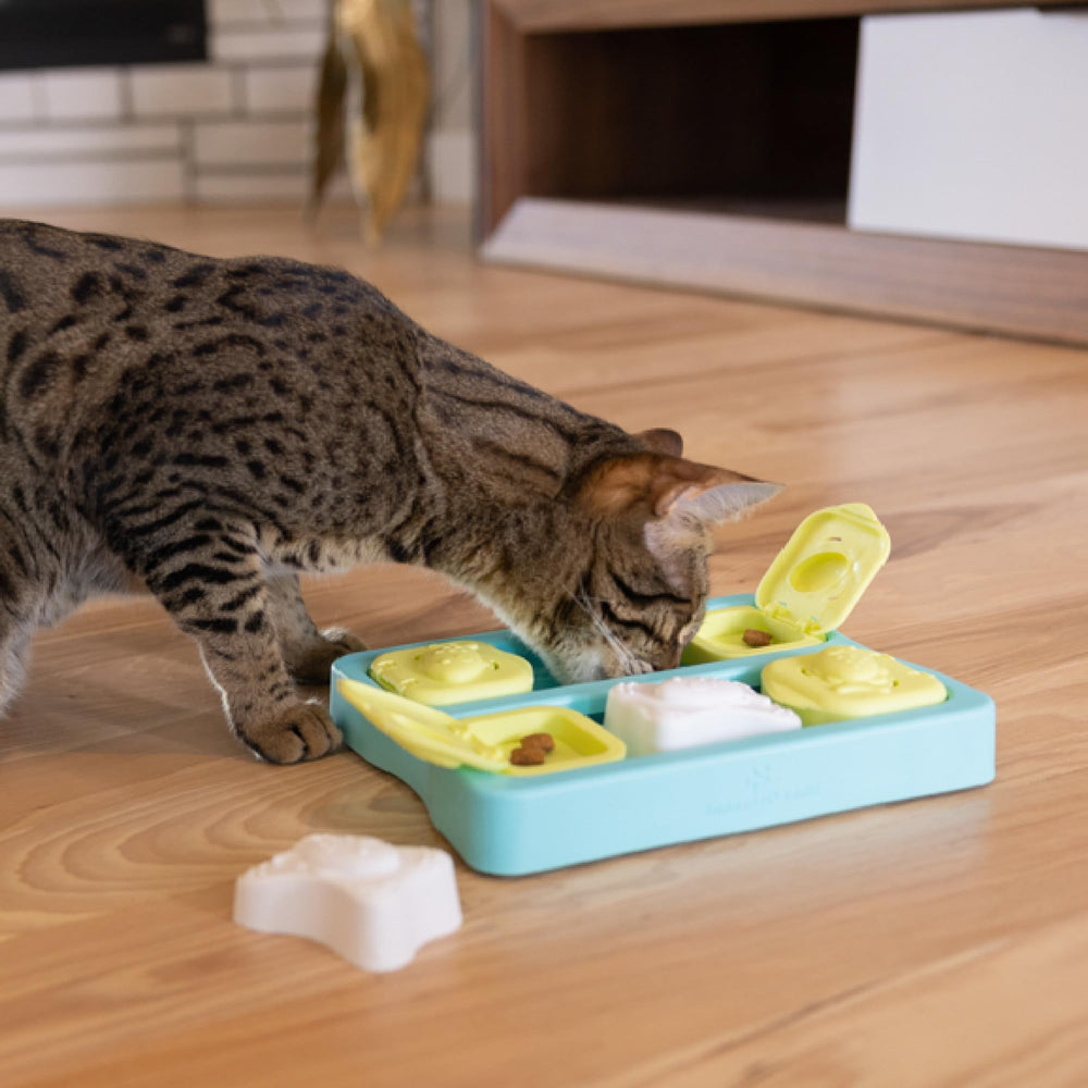 Idéal comme jouet d'enrichissement pour chats et chatons, et même petits chiens.