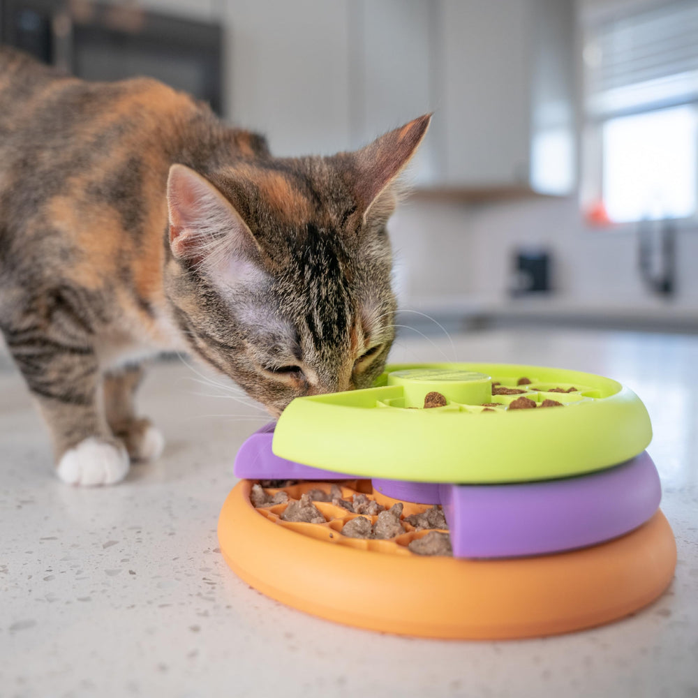 Catstages Kitty Lickin' Layers, accessoire interactif pour jeux et exploration.