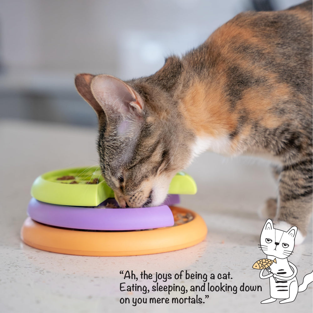 Catstages Kitty Lickin' Layers, compatible nourriture sèche et humide.