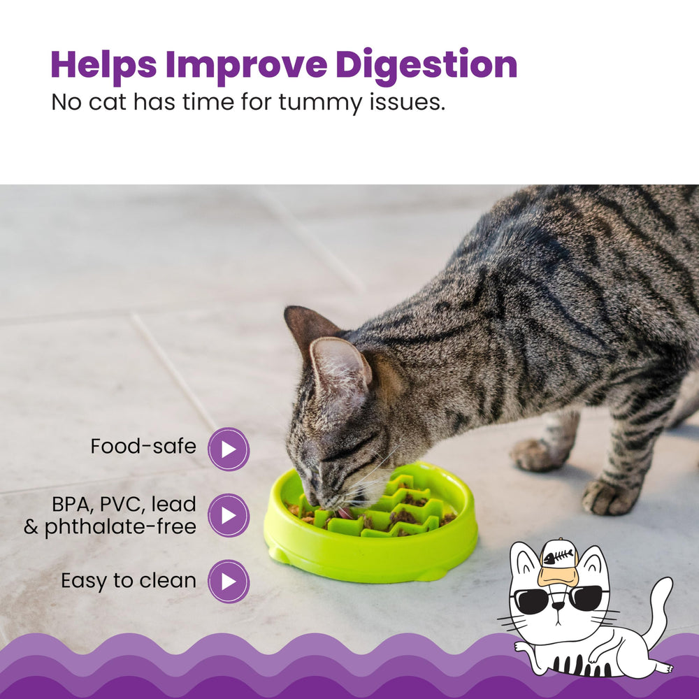 Catstages Kitty Slow Feeder: capacité de 3/4 tasse pour le contrôle des portions