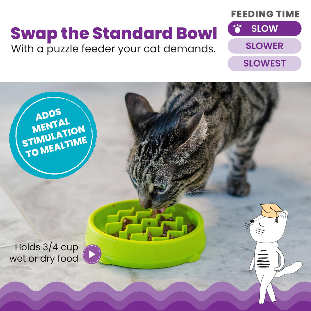 Catstages Kitty Slow Feeder: design puzzle stimulant l’esprit du chat durant le repas