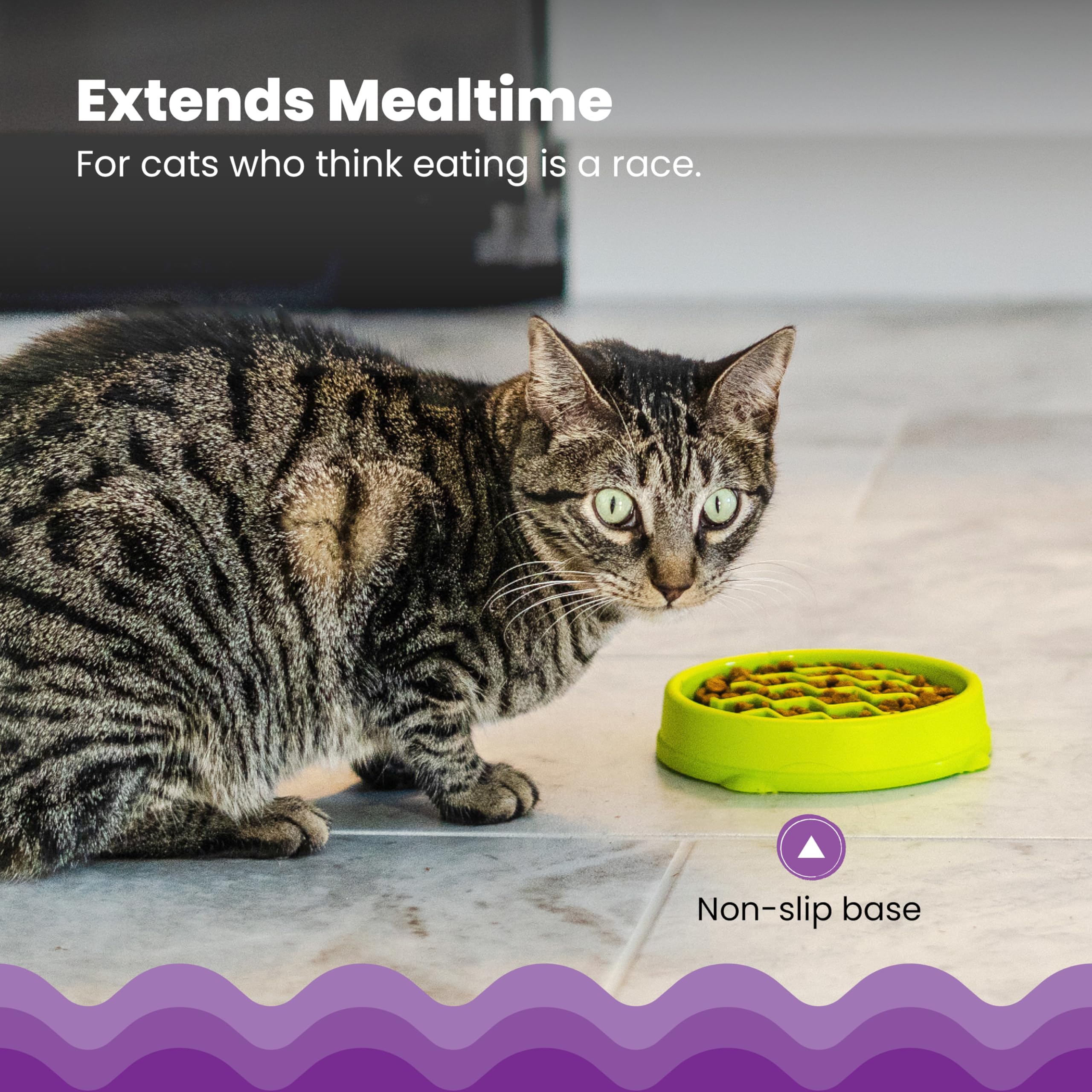 Catstages Kitty Slow Feeder: compatible nourriture humide ou sèche pour plus de flexibilité