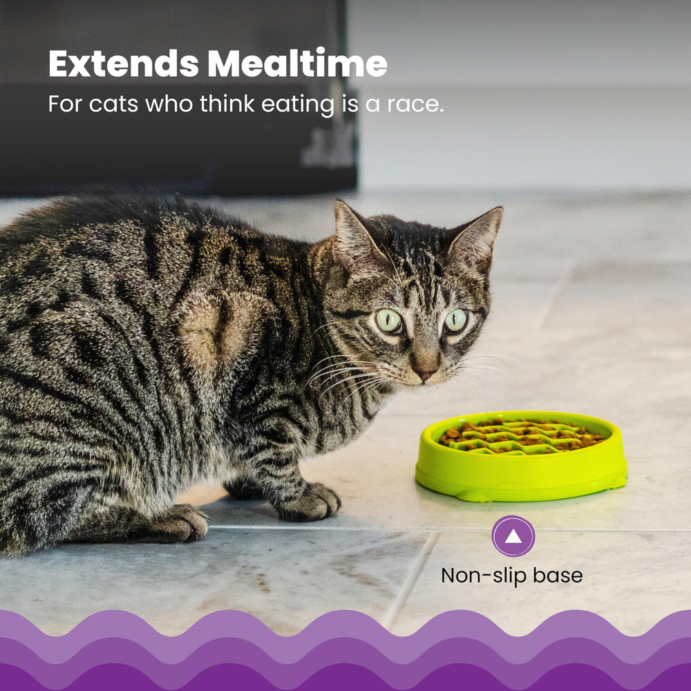 Catstages Kitty Slow Feeder: compatible nourriture humide ou sèche pour plus de flexibilité