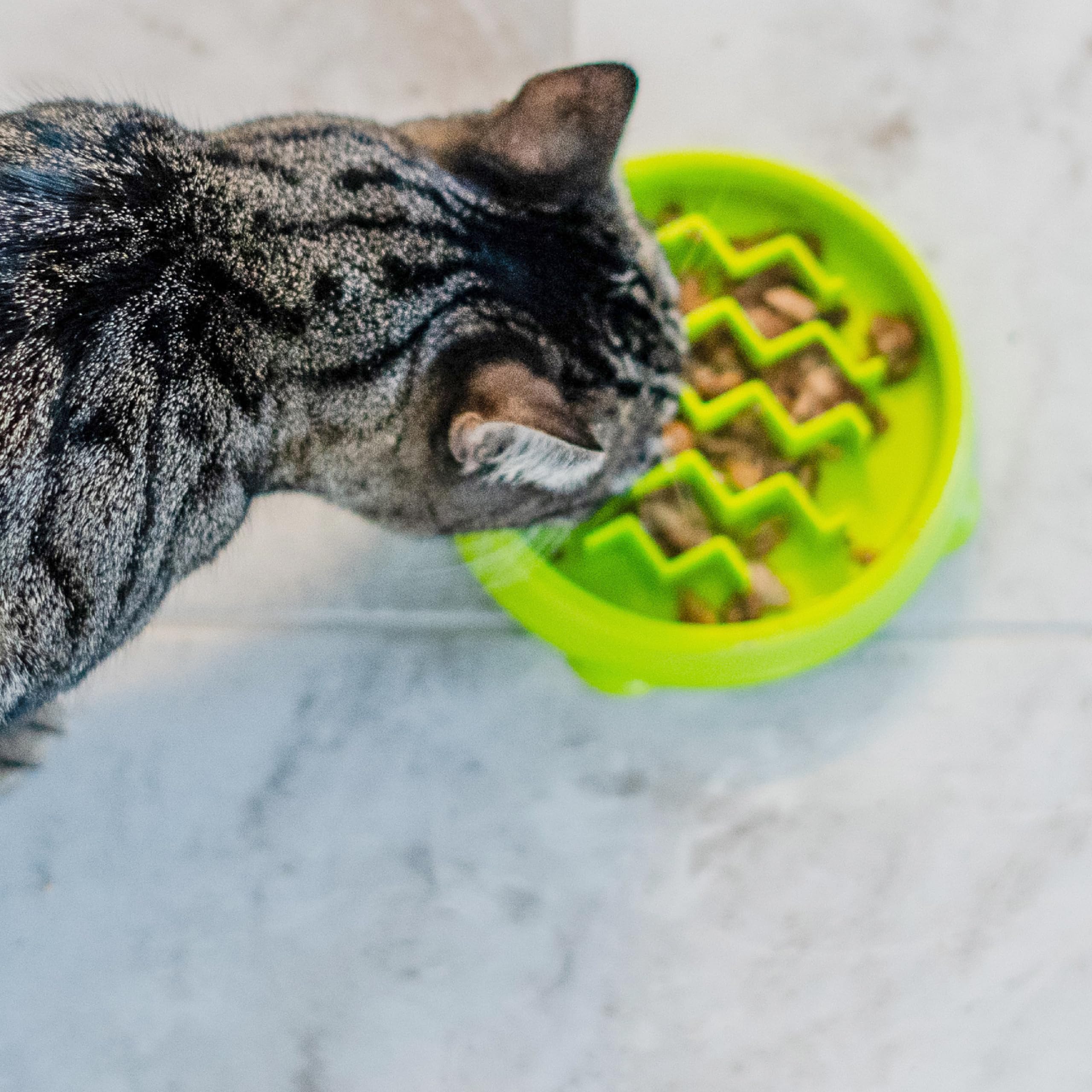 Catstages Kitty Slow Feeder: entretien facile, compatible lave-vaisselle