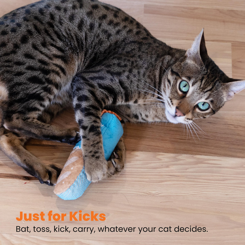 Catstages Loaf Kicker: jouet léger et portable pour le déplacement.