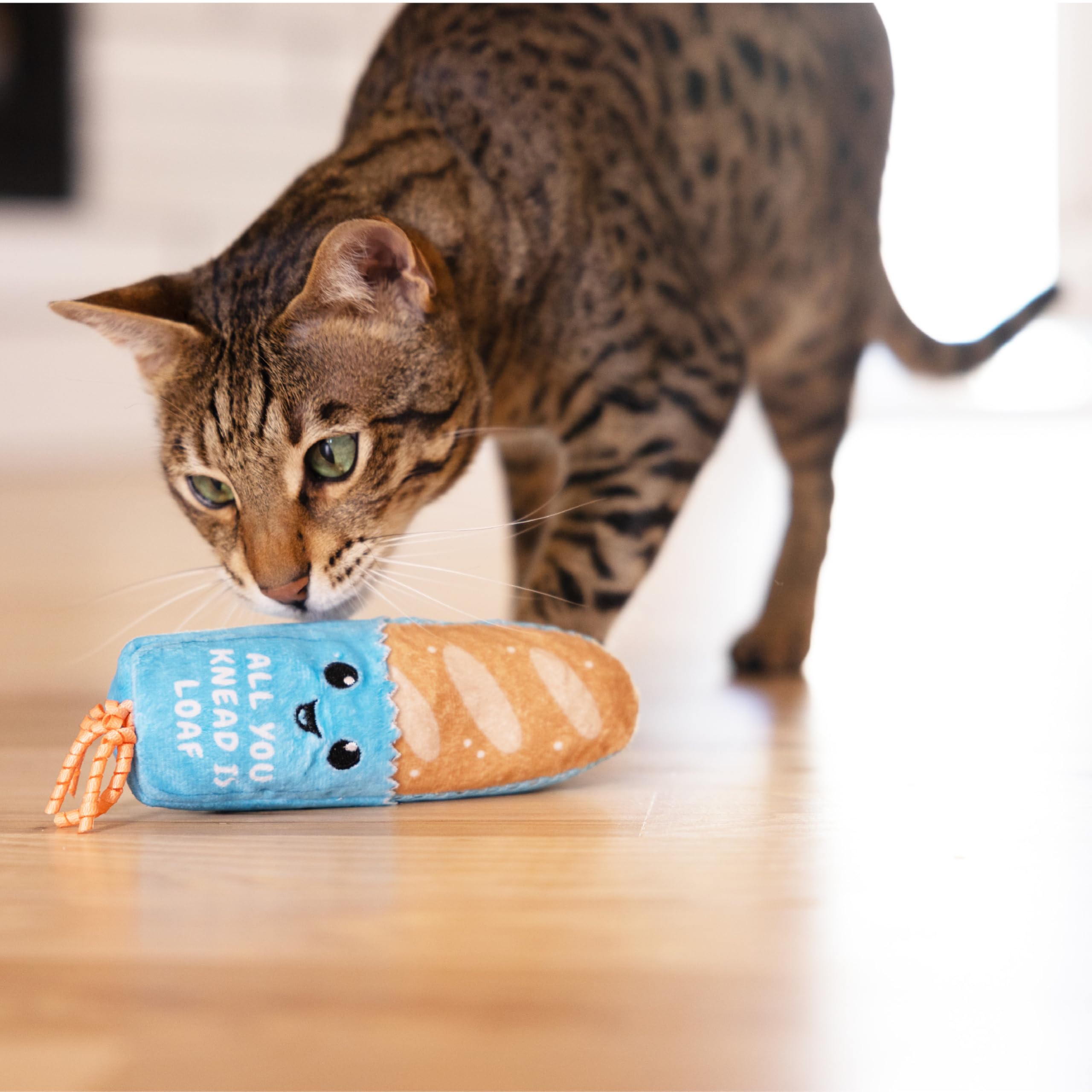 Catstages Loaf Kicker: texture variée pour varier les sensations.