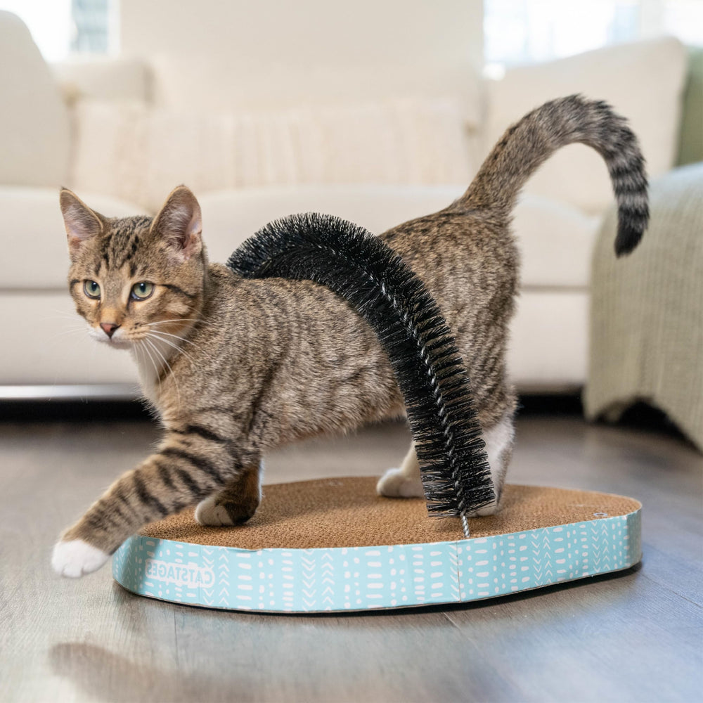 Catstages: massage poil doux pour un pelage sain et detendu.