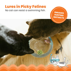 Catstages Meow-smerizing : bocal transparent pour voir l’action en direct.