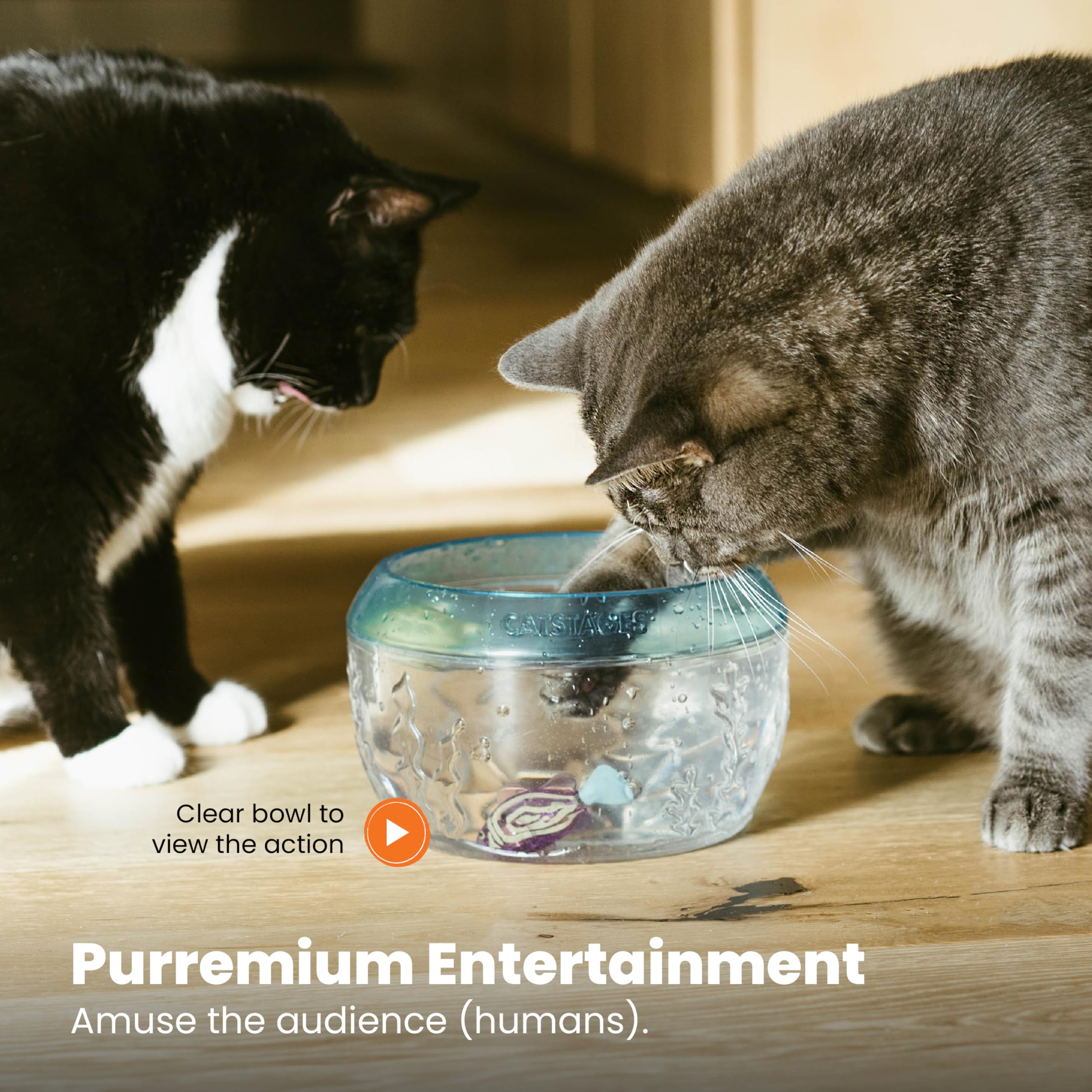 Catstages Meow-smerizing : ensemble ludique facile à nettoyer après usage.