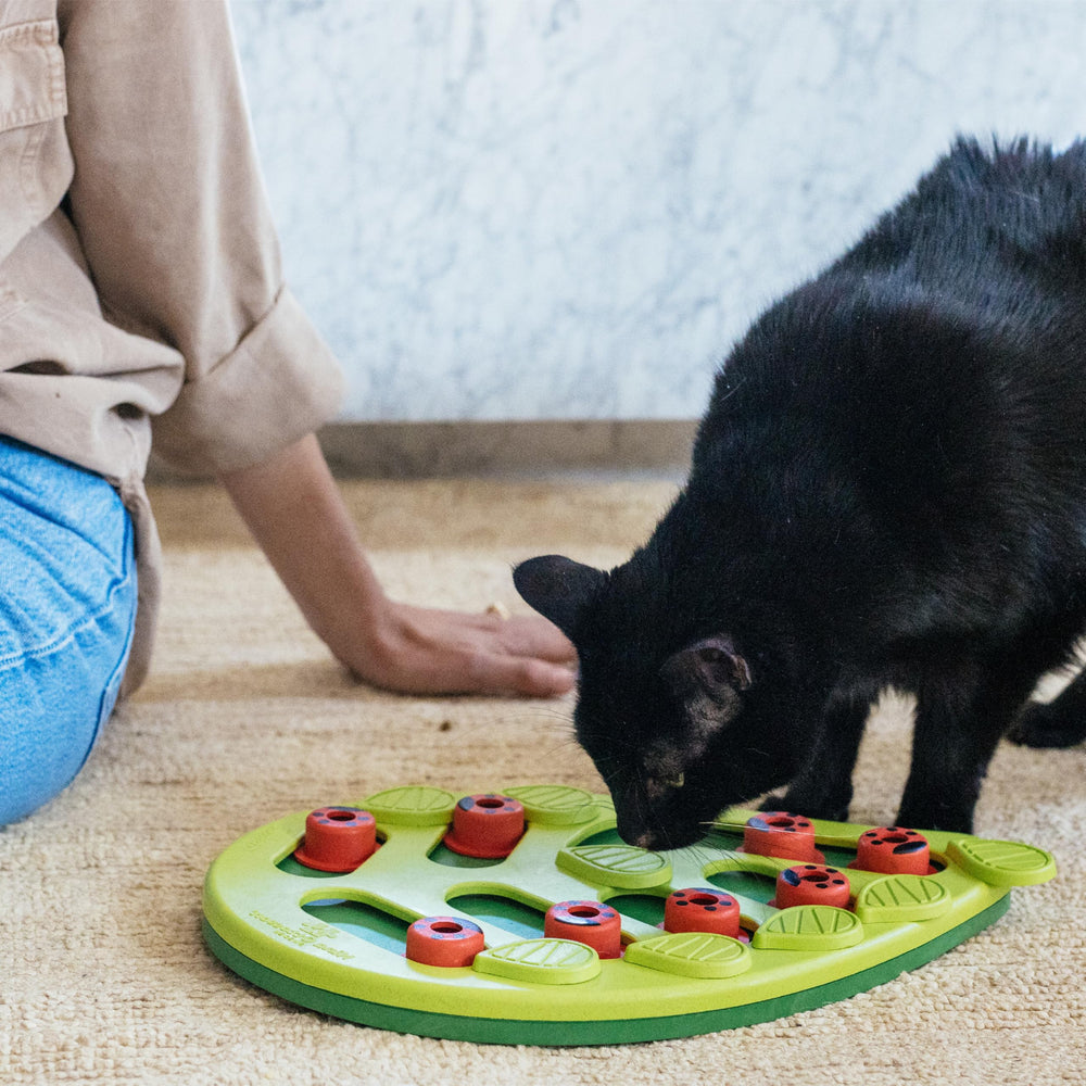 Catstages Nina Ottosson Buggin' Out, enrichissement mental et gestion de l'appétit possibles.