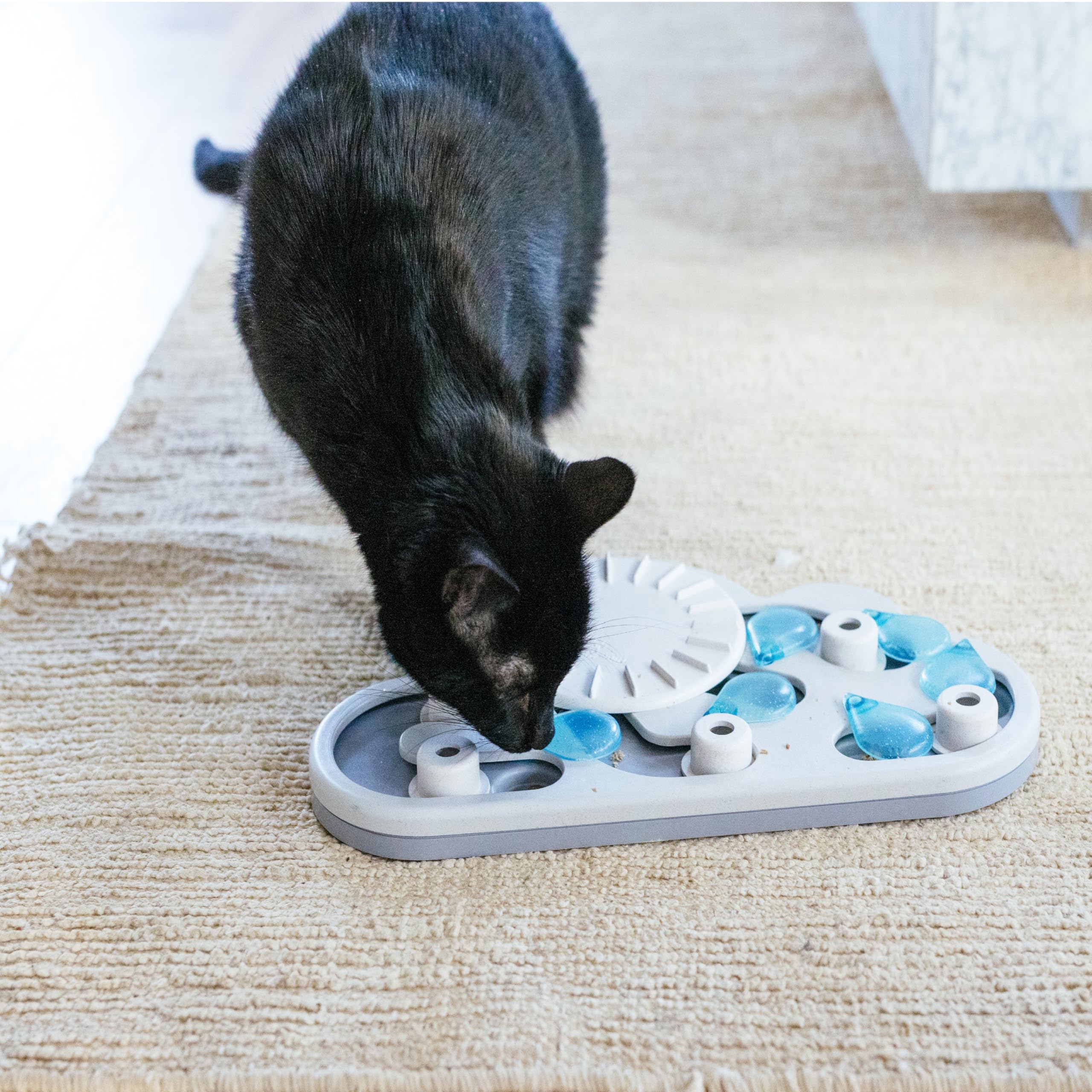 Catstages Nina Ottosson Rainy Day Puzzle jouet durable et sûr pour chats.