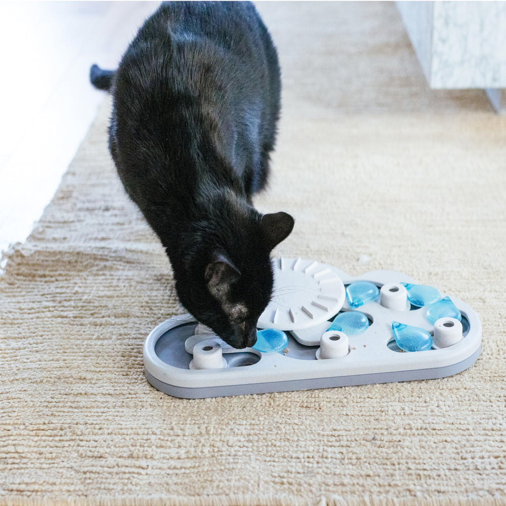 Catstages Nina Ottosson Rainy Day Puzzle jouet durable et sûr pour chats.