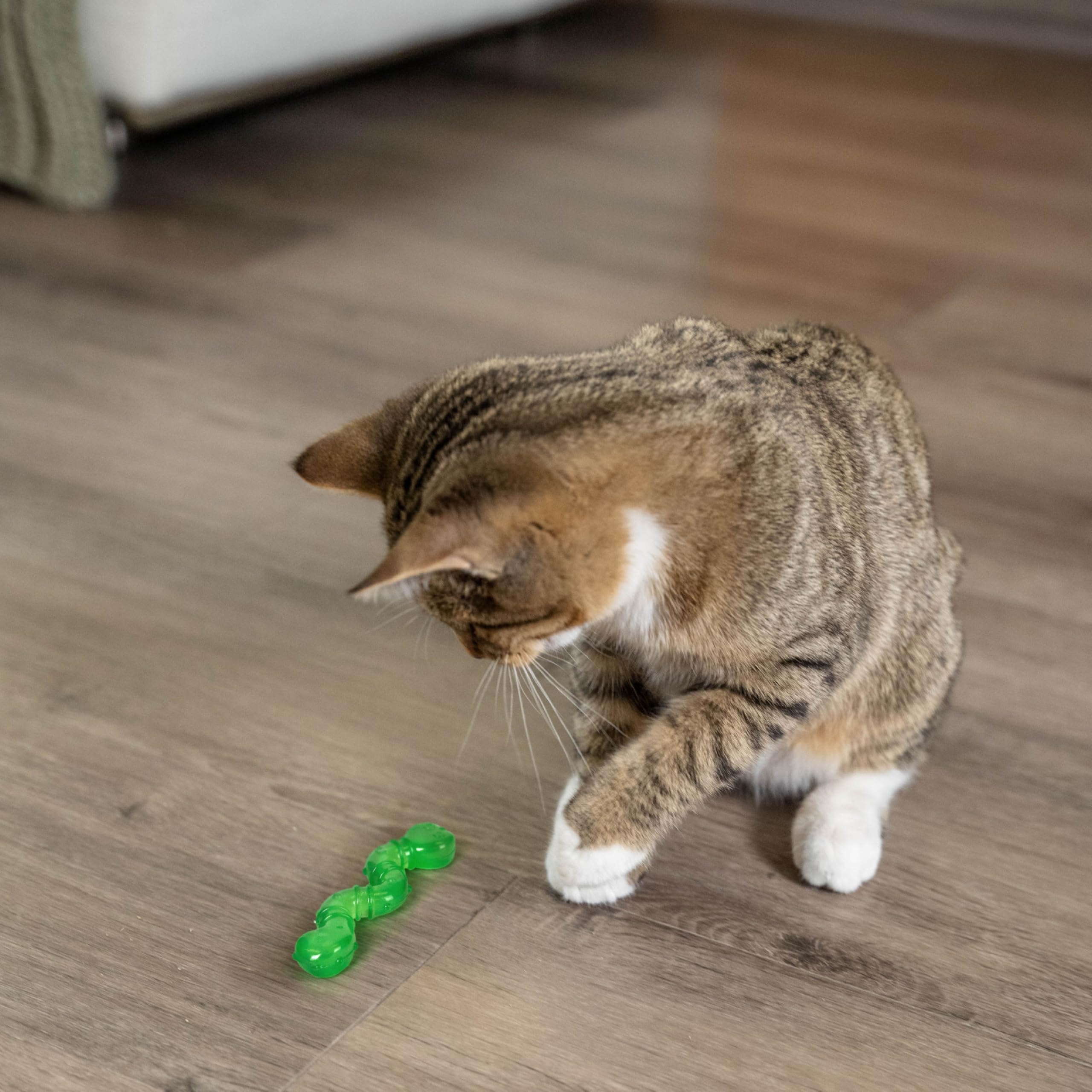 Catstages Orkakat Wiggle Worm – parfait comme compagnon de jeu ou comme distraction anti-ennui.