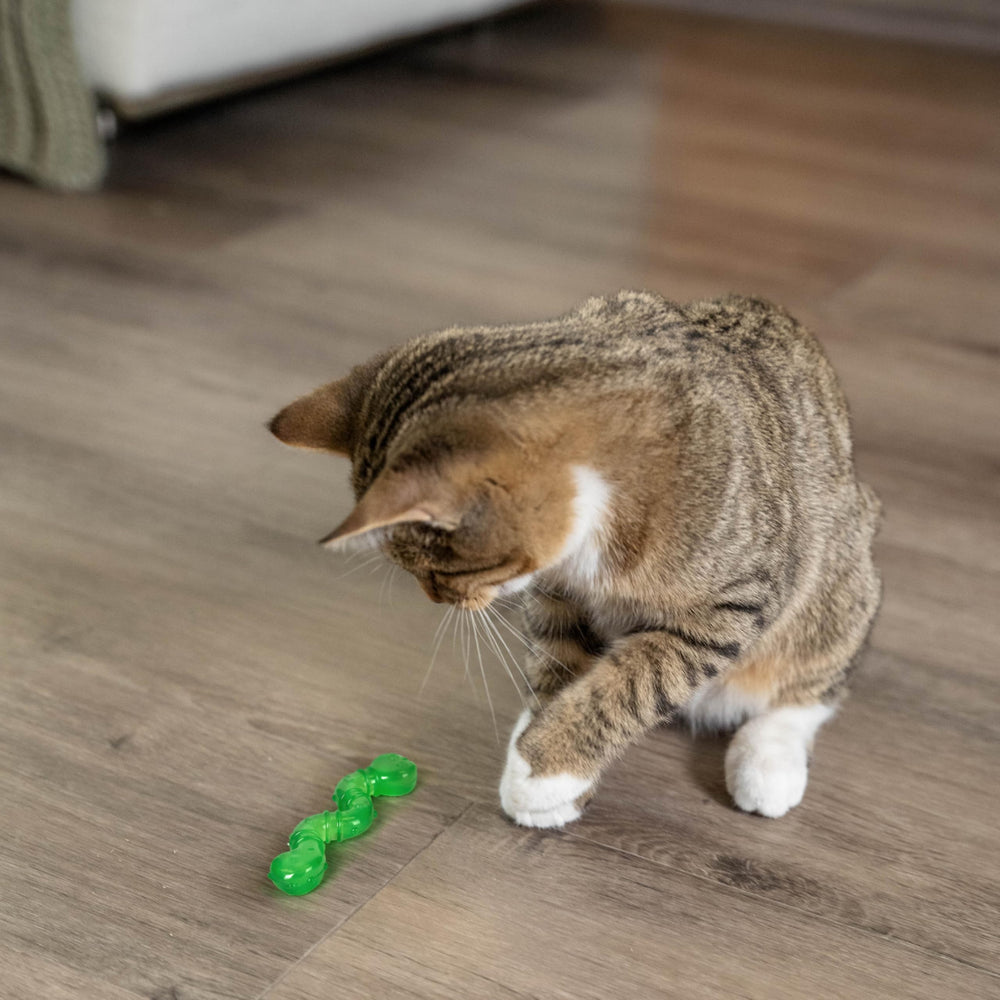 Catstages Orkakat Wiggle Worm – parfait comme compagnon de jeu ou comme distraction anti-ennui.