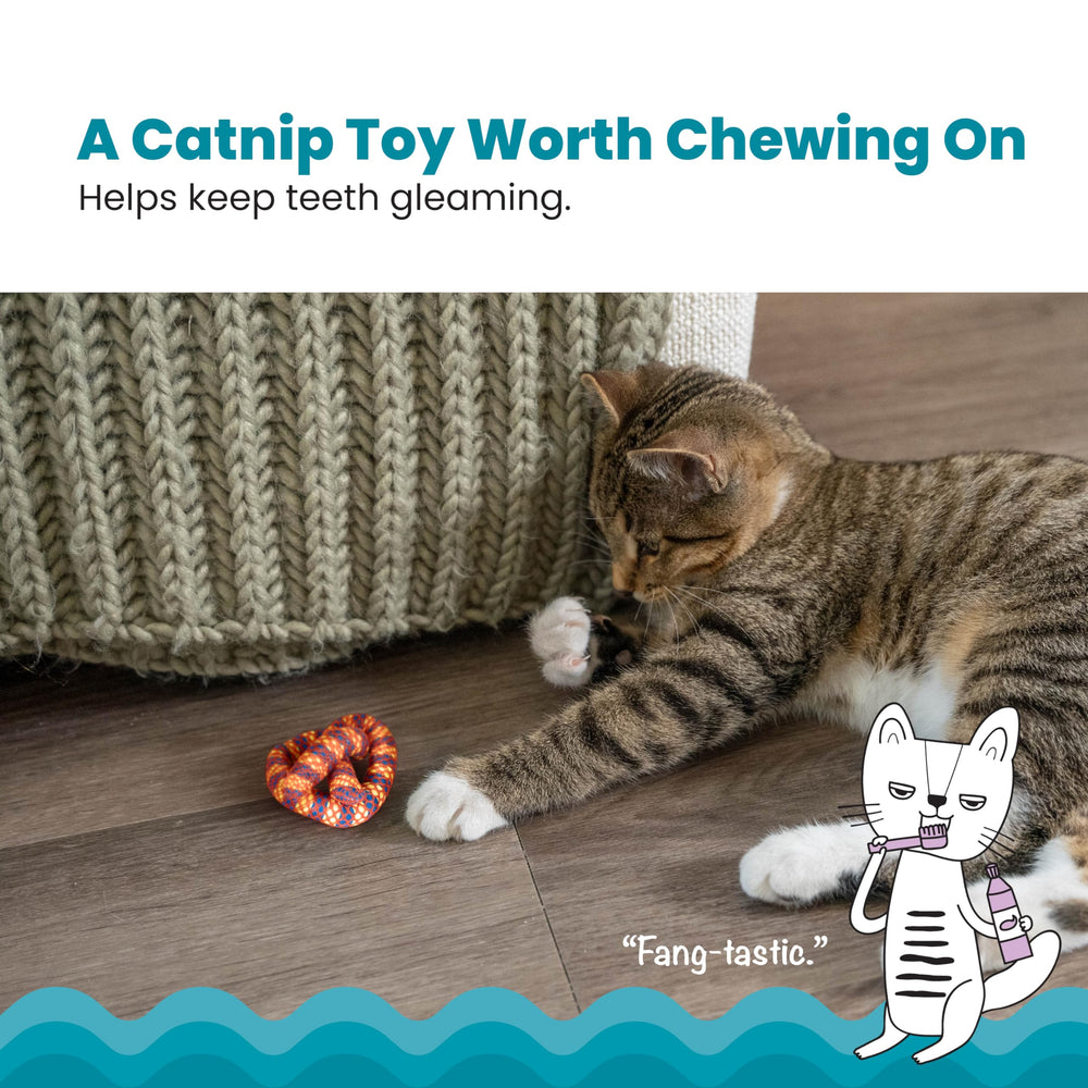 Catstages Plaque Away Pretzel : chat-nip-rempli, attire les chats et prolonge le jeu.