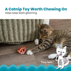 Catstages Plaque Away Pretzel : chat-nip-rempli, attire les chats et prolonge le jeu.