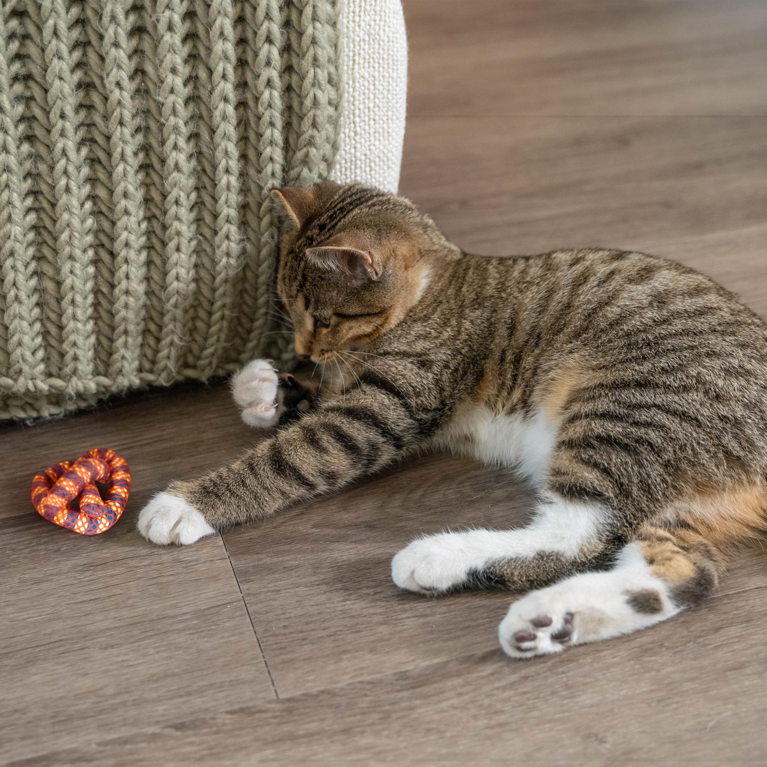 Catstages Plaque Away Pretzel : stimule instinct de chasse et jeux d interaction.
