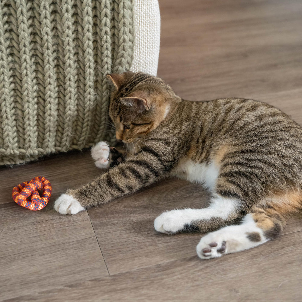 Catstages Plaque Away Pretzel : stimule instinct de chasse et jeux d interaction.