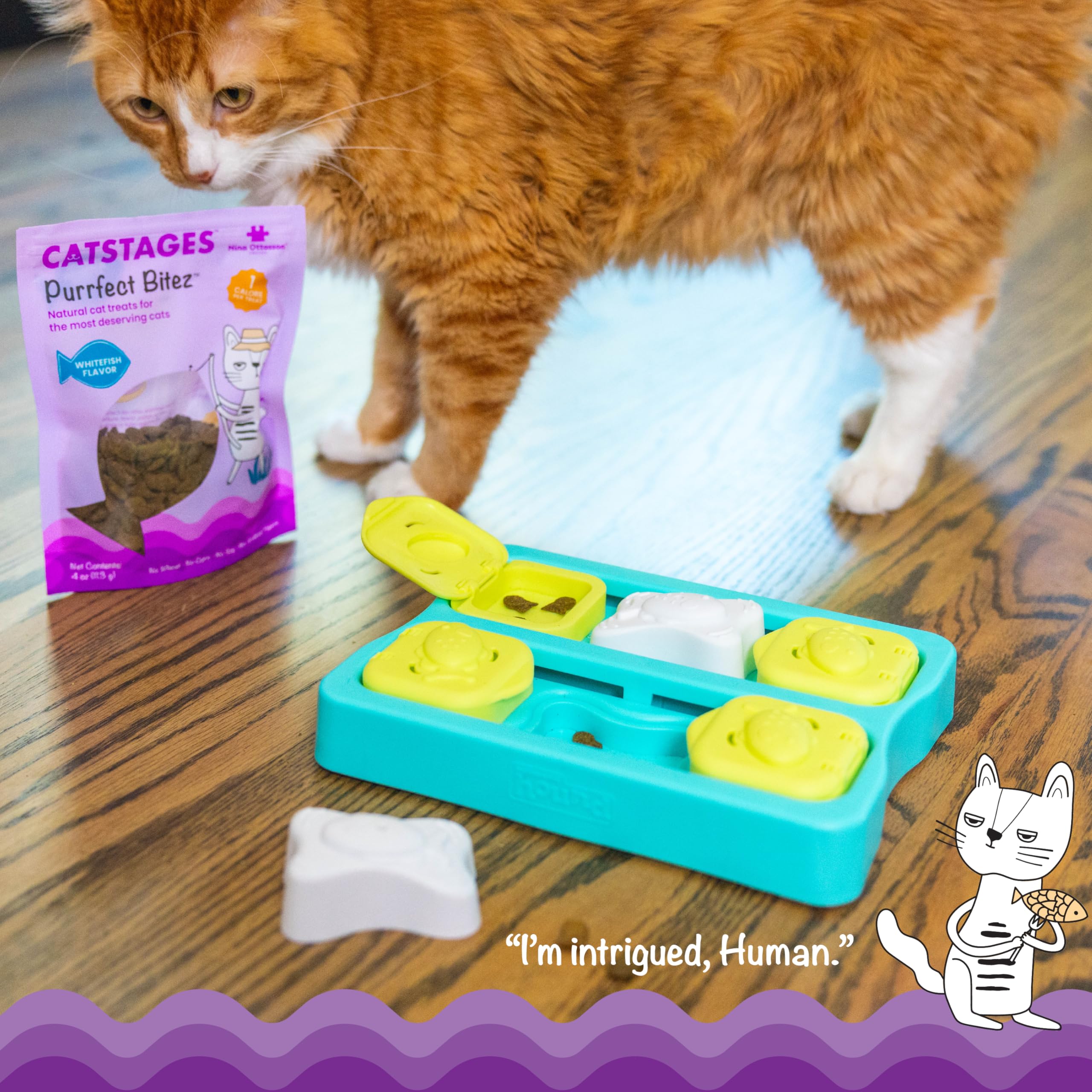 Catstages Purrfect Bitez, forme poisson mini parfaite pour le jeu.