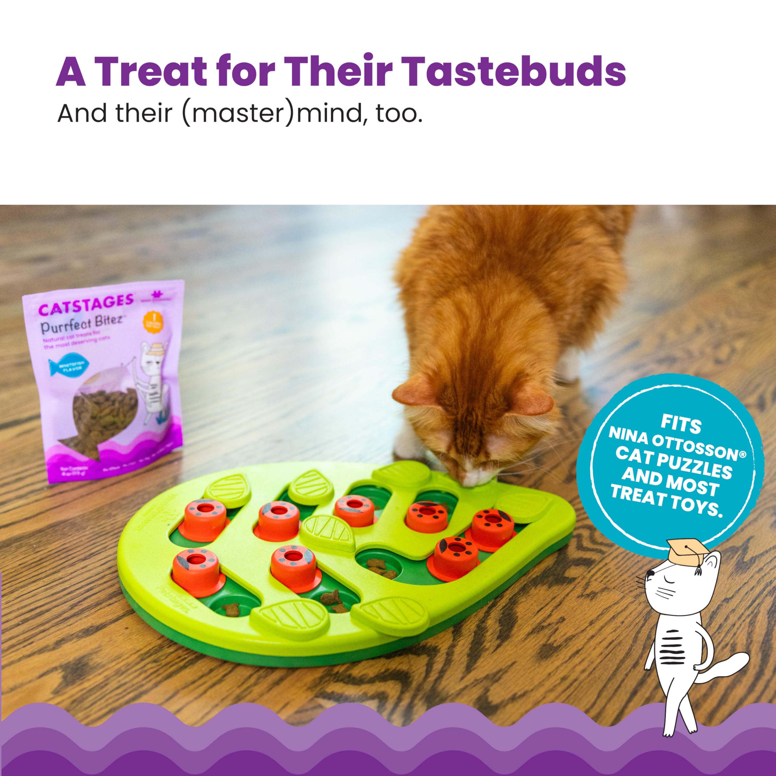 Catstages Purrfect Bitez, format mini-bouchées pour petites sessions d’entraînement.