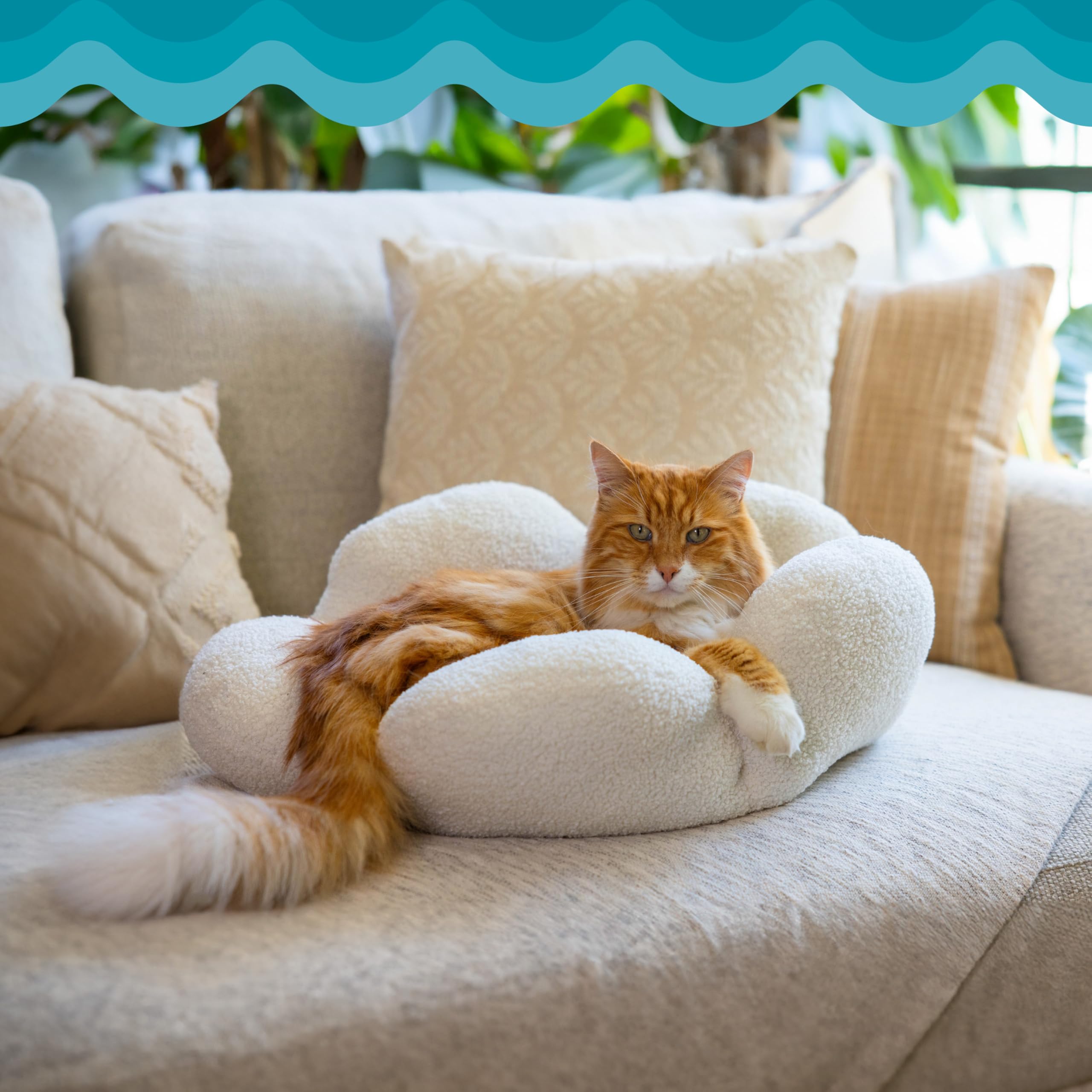 Catstages Purrfect Petals design fleur interieur apaisant.