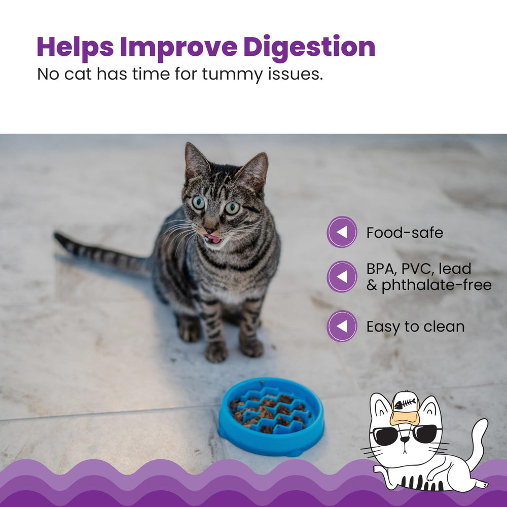 Catstages sans BPA et PVC offre une expérience alimentaire sûre.
