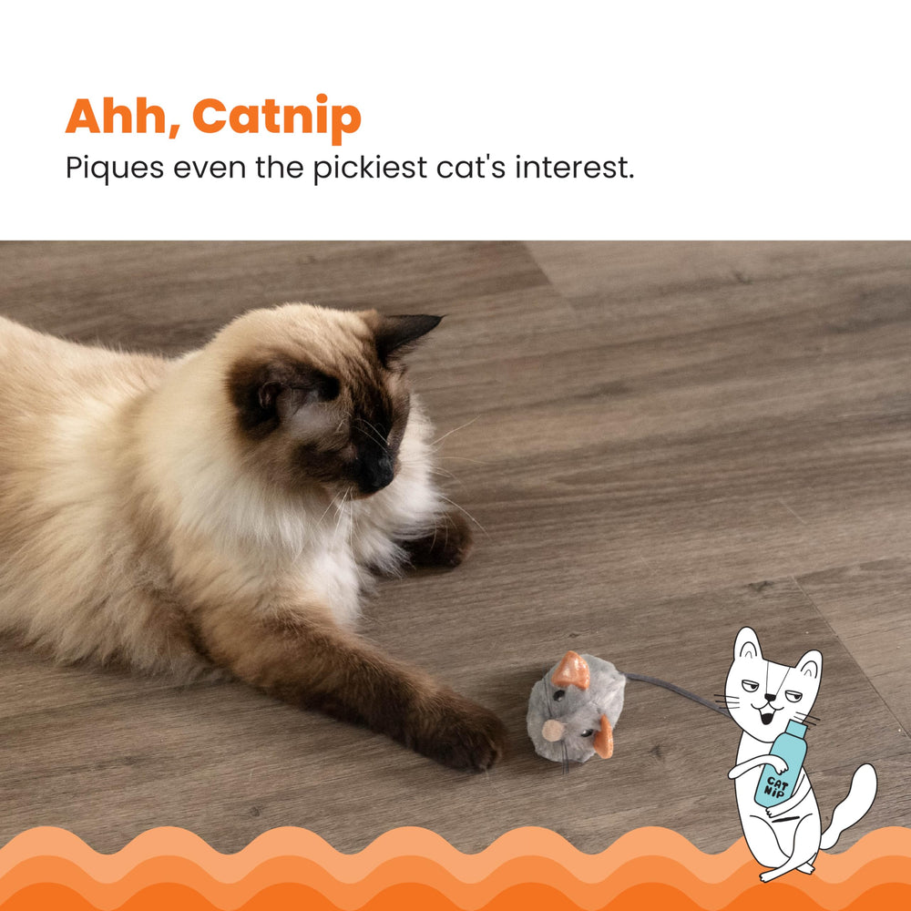 Catstages Souris Poil-doux, peluche douce adaptée aux pattes sensibles.