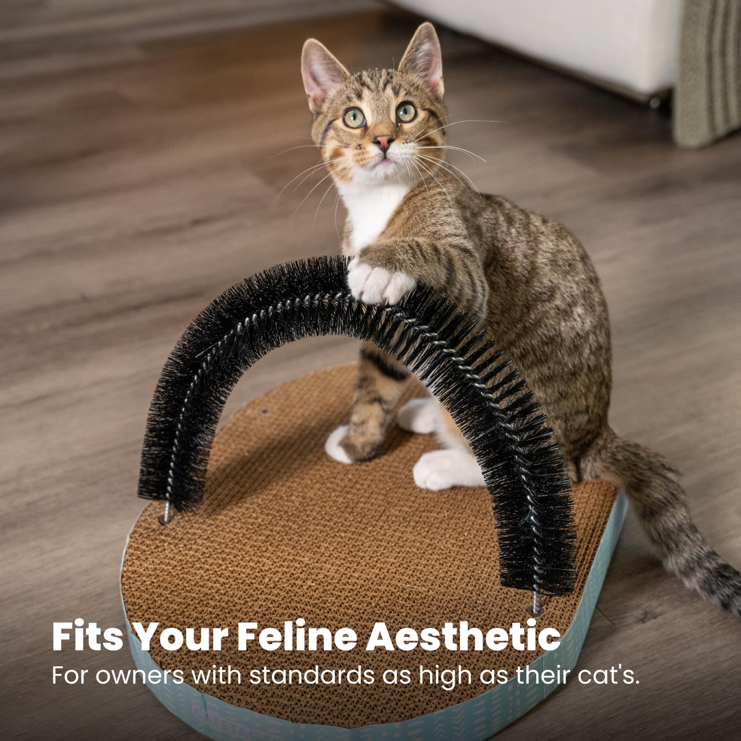 Catstages: station toilettage auto pour une utilisation douce et progressive.