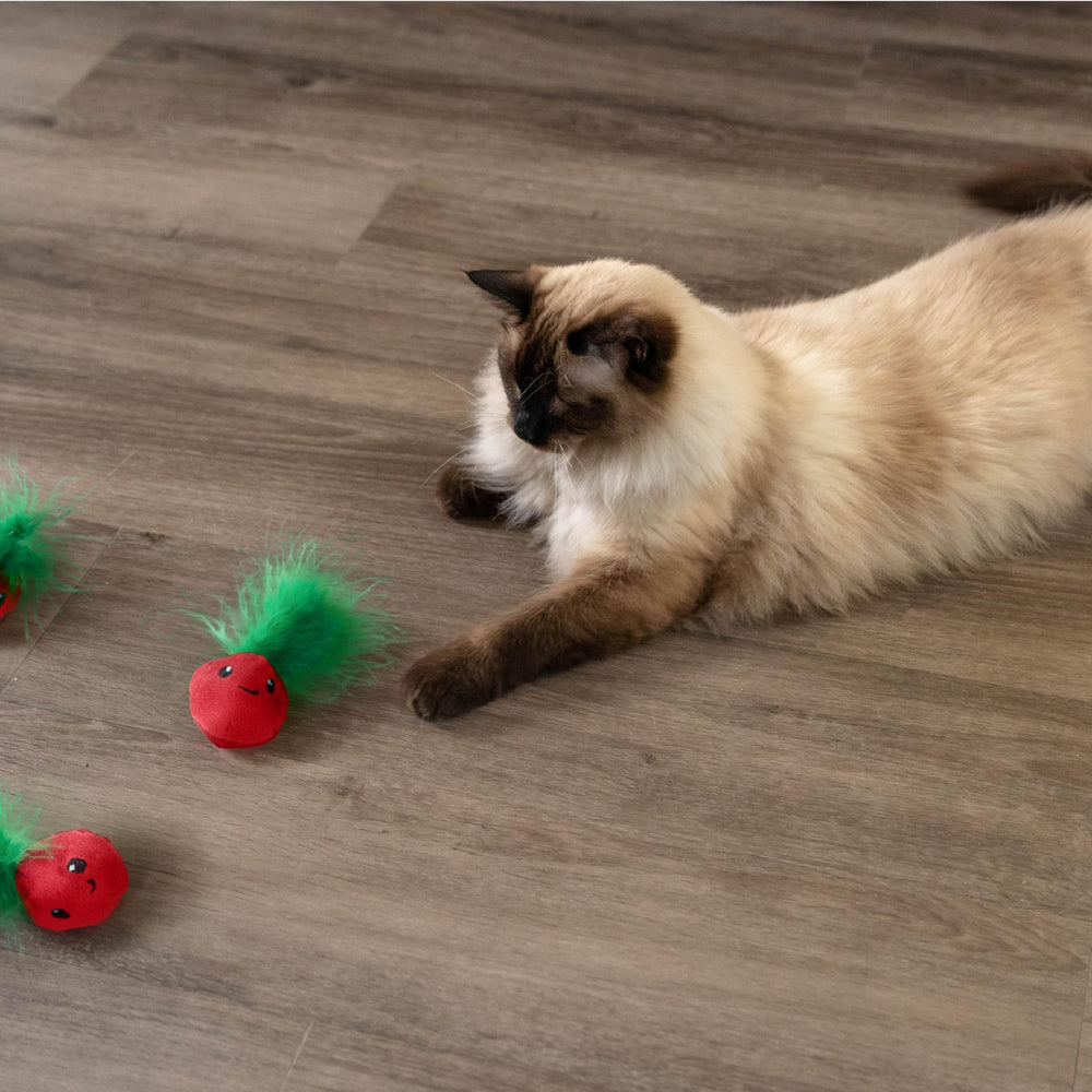 Catstages Strawbabies: idéal pour les maisons multi-chats et l'enrichissement intérieur