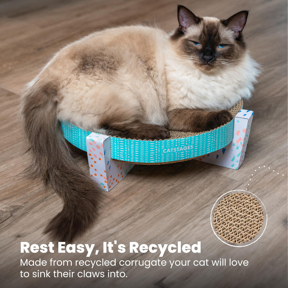 Catstages Scratch, Snuggle & Rest – usage polyvalent: griffage, repos et détente.